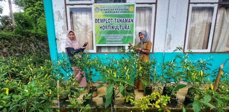 IMG-20230204-WA0039-01-01