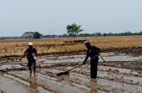 IMG-20231108-WA0054-1