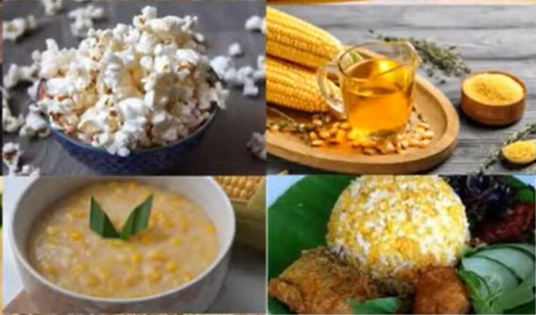 IMG-20231204-WA0033-1