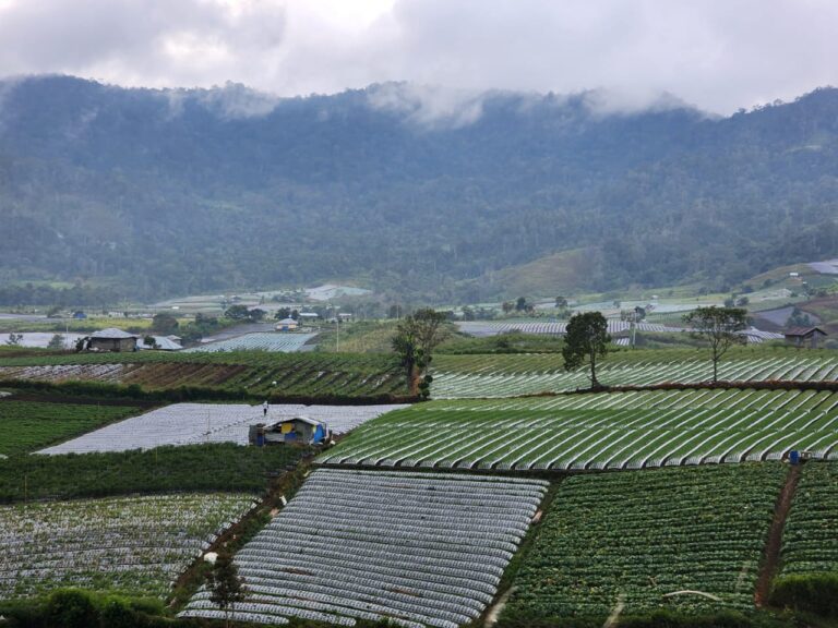 WhatsApp-Image-2024-03-01-at-20.08.56