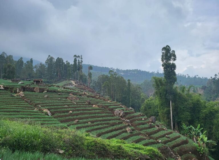 WhatsApp-Image-2024-03-01-at-21.04.13